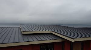 Best Roof Maintenance and Cleaning  in West Union, OH